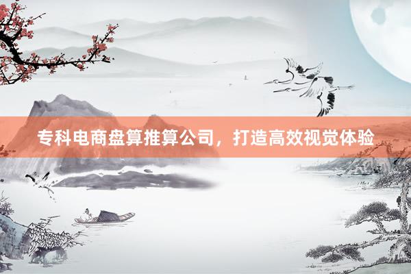 专科电商盘算推算公司，打造高效视觉体验