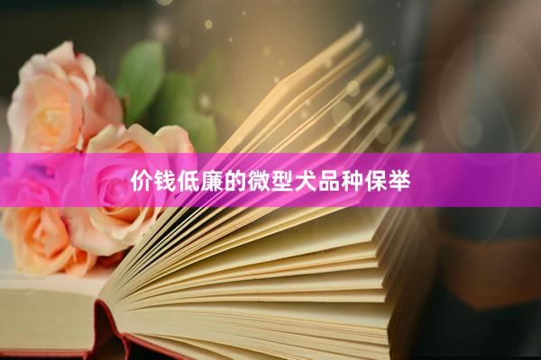 价钱低廉的微型犬品种保举